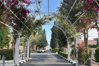 3 Bedroom Apartment in Pyrgos Limassol (Limassol) for sale 
