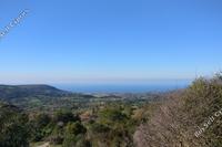 883 SQM Land · Lysos (Paphos) for sale 