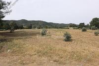 2630 SQM Land in Mosfiloti (Larnaca) for sale 