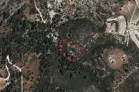 6689 SQM Land in Dora (Limassol) for sale 