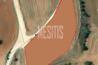 2676 SQM Land in Malounta (Nicosia) for sale 