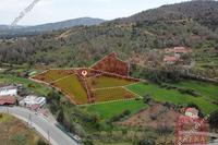 10939 SQM Land in Mosfiloti (Larnaca) for sale 