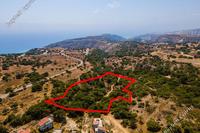 17057 SQM Plot in Pissouri (Limassol) for sale 