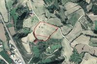 16724 SQM Land in Goudi (Paphos) for sale 