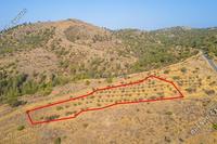 4014 SQM Land in Agia Marina Xyliatou (Nicosia) for sale 