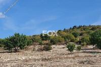 6689 SQM Plot in Koili (Paphos) for sale 