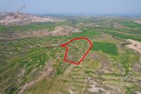 31104 SQM Land in Linou (Nicosia) for sale 