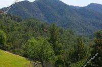 14475 SQM Land · Pigenia (Nicosia) for sale 
