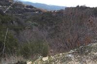 2342 SQM Land · Koilani (Limassol) for sale 