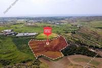 18785 SQM Land · Agia Varvara (Paphos) for sale 