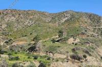 10704 SQM Land in Vavatsinia (Larnaca) for sale 