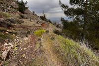 15720 SQM Land in Fikardou (Nicosia) for sale 