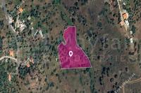 7098 SQM Land · Pigenia (Nicosia) for sale 
