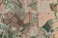 4060 SQM Land in Stroumbi (Paphos) for sale 