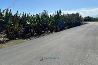 5125 SQM Land in Peyia (Paphos) for sale 