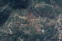 6688 SQM Land in Tsakistra (Nicosia) for sale 