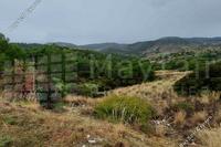 12375 SQM Plot in Pano Pyrgos (Nicosia) for sale 
