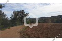 1152 SQM Land · Klirou (Nicosia) for sale 