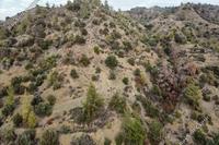 7693 SQM Land · Kapileio (Limassol) for sale 
