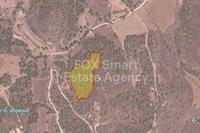14382 SQM Land in Mitsero (Nicosia) for sale 