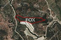 19399 SQM Land in Mousere (Paphos) for sale 