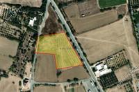 7944 SQM Land in Zygi (Larnaca) for sale 