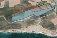 36456 SQM Land · Mazotos (Larnaca) for sale 