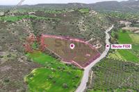 21378 SQM Land in Agios Theodoros Larnacas (Larnaca) for sale 