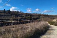 13156 SQM Land in Kathikas (Paphos) for sale 