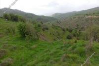 10034 SQM Land in Pentalia (Paphos) for sale 