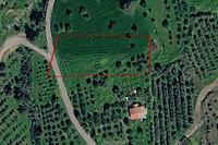 3345 SQM Land · Anglisides (Larnaca) for sale 
