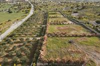 2980 SQM Land in Maroni (Larnaca) for sale 