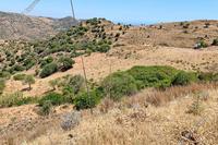 2900 SQM Land in Episkopi Pafou (Paphos) for sale 