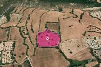 1411 SQM Land in Kato Akourdalia (Paphos) for sale 