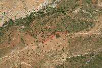 2342 SQM Land · Peyia (Paphos) for sale 