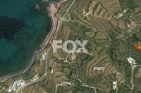 13341 SQM Land · Pomos (Paphos) for sale 