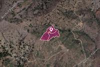8028 SQM Land in Askas (Nicosia) for sale 
