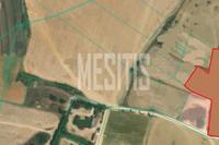9987 SQM Land in Avgorou (Famagusta) for sale 