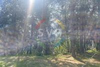 810 SQM Plot · Moniatis (Limassol) for sale 