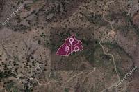 8028 SQM Land · Askas (Nicosia) for sale 