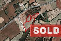 8151 SQM Land in Stroumbi (Paphos) for sale 