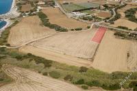 2500 SQM Plot · Maroni (Larnaca) for sale 