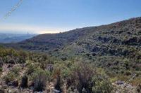 6689 SQM Land in Asgata (Limassol) for sale 