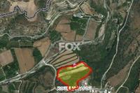 29432 SQM Land · Kouklia Pafou (Paphos) for sale 