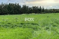 2750 SQM Land · Nikokleia (Paphos) for sale 