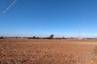 7435 SQM Land · Xylofagou (Larnaca) for sale 