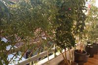 2 Bedroom Apartment · Agia Zoni (Limassol) for sale 