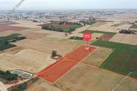 7845 SQM Land in Avgorou (Famagusta) for sale 