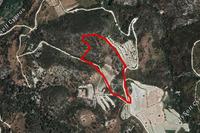 42476 SQM Land in Dora (Limassol) for sale 