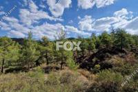 35452 SQM Land in Kato Platres (Limassol) for sale 